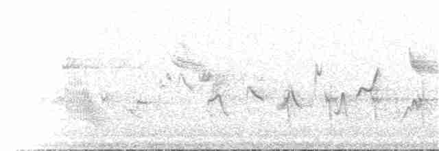 Calliope Hummingbird - ML64833421