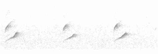 Common Chiffchaff (Common) - ML64918741