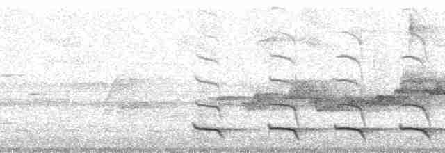 Trogon rosalba (groupe collaris) - ML64927