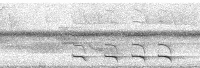 Trogon rosalba (groupe collaris) - ML64929