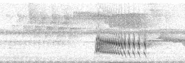 Trogon rosalba (groupe collaris) - ML64931