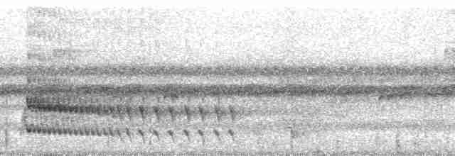 Trogon rosalba (groupe collaris) - ML64936