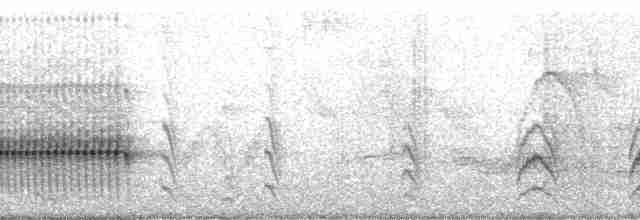 Rufous-tailed Jacamar (Rufous-tailed) - ML64996