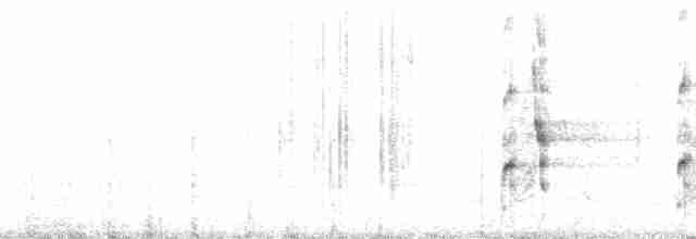 arassari pestrý [skupina torquatus] - ML65045