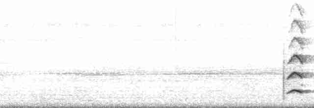 Toucan à bec rouge (cuvieri/inca) - ML65080