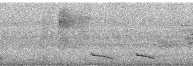 Collared Trogon (Xalapa) - ML6509