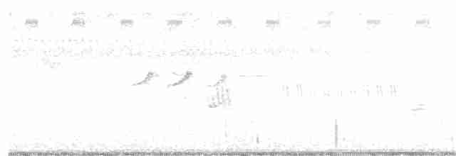 Улит-отшельник - ML65157121