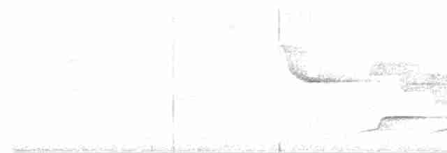 White-breasted Wood-Wren - ML65159881