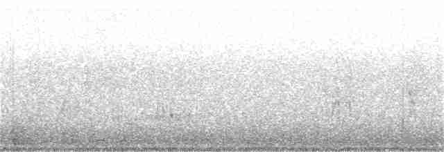 Чирянка жовтодзьоба - ML65166531