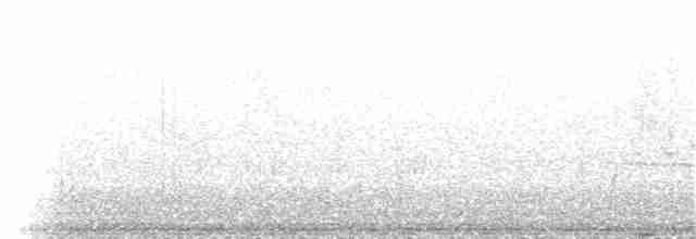Batı Amerika Sinekkapanı (occidentalis/hellmayri) - ML65167301