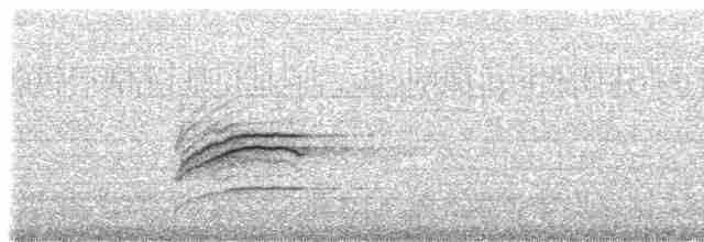 Münzevi Bülbül Ardıcı [auduboni grubu] - ML65170101