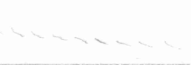Каньонный крапивник - ML65181521