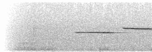 Белогорлая зонотрихия - ML65258191