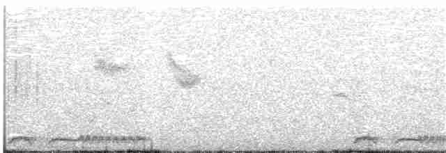 Ring-necked Dove - ML65259481