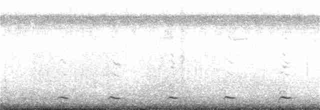 白腹秧雞 - ML65309101