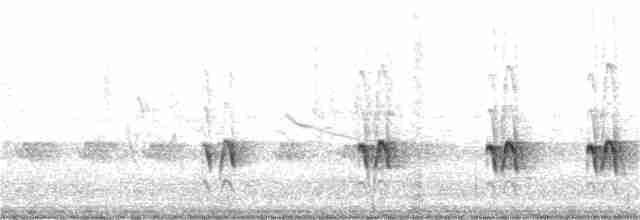 Chaparralgrasmücke - ML65343641