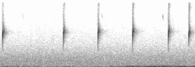 Светлокрылая трясохвостка - ML65354