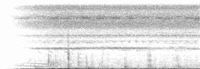 Zigzag Heron - ML65366181