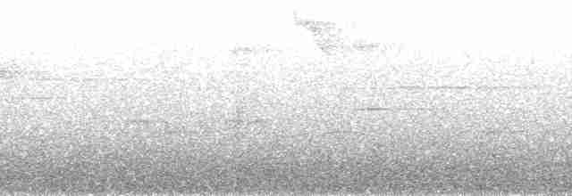 Anabate à croupion roux - ML65386