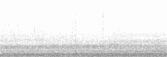 Опоясанный зимородок - ML65439231