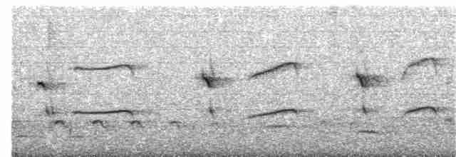 Crescent-chested Puffbird - ML65441031