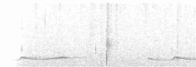 Silky-tailed Nightjar - ML65453481