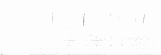 Ширококрылый канюк - ML65509731
