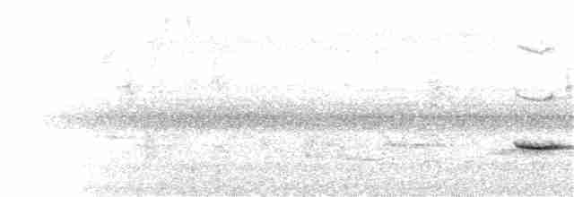 Синиця гострочуба - ML65529071