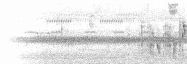 Bataklık Çıtkuşu - ML65529191