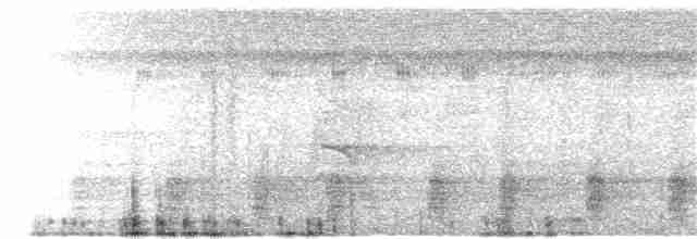 Пестроклювый арасари - ML65587931