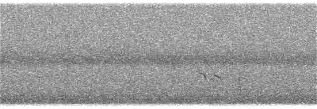 Короткоклювый бекасовидный веретенник - ML65605421
