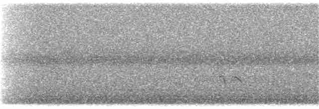 Короткоклювый бекасовидный веретенник - ML65605441