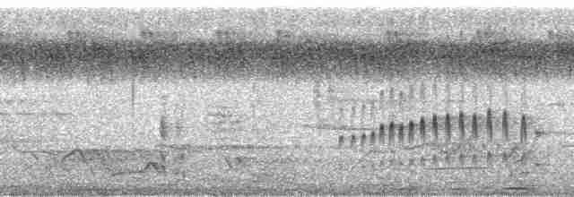 Bıyıklı Büyük Balkılavuzu [minor grubu] - ML65612