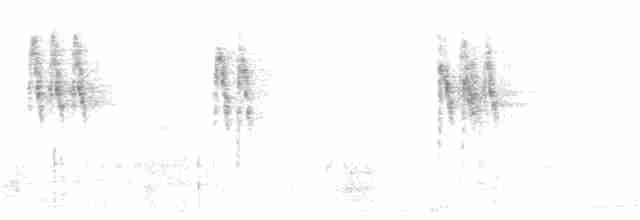 White Wagtail (British) - ML65628251