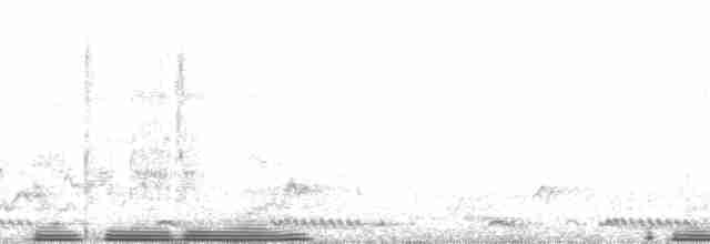 Spot-flanked Barbet - ML65648