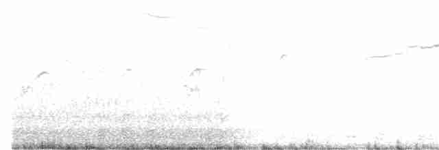 alkoun holubí - ML65655151
