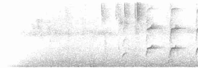 Колібрі-коронет каштановогрудий - ML65662601