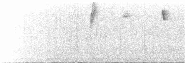 Беретник рудочеревий - ML65700151