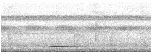 holub safírový - ML65709281