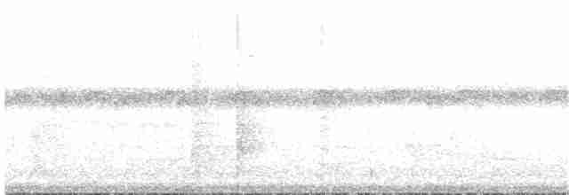 Streifenbrust-Ameisendrossel - ML65737651