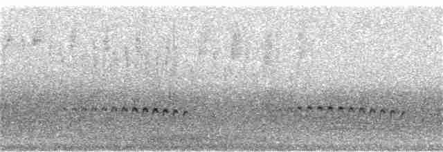 Fan-tailed Cuckoo - ML65754091