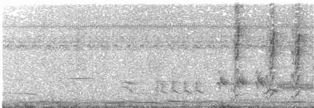 Зернолуск сірий - ML65781221