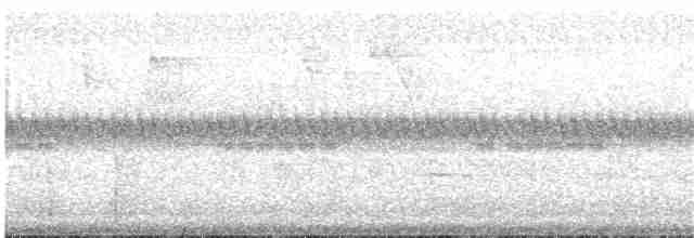 Колібрі-іскринка білочеревий - ML65808601