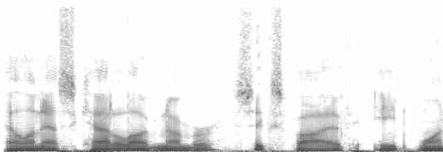  - King Bird-of-Paradise