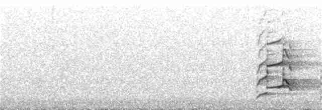 Белоголовый орлан - ML65813521