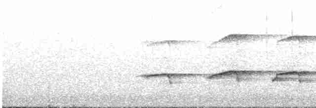 orel bělohlavý - ML65813641