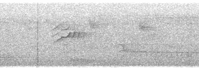Grünstirn-Brillenvogel - ML65828