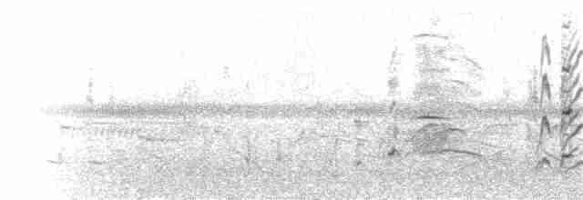 Kahverengi Islıkçı Ördek - ML65843841