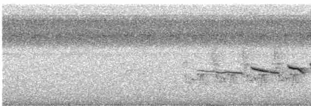 Field Sparrow - ML65926641