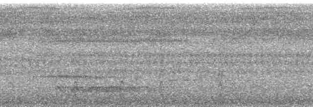 Miro à croupion blanc - ML65936